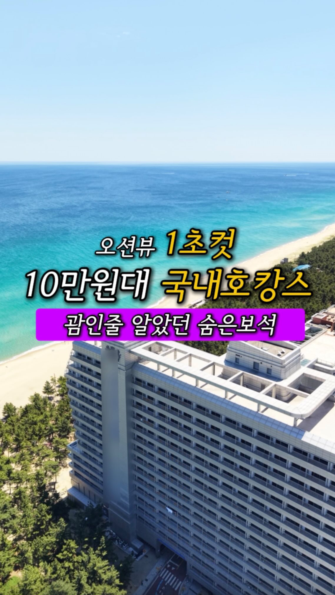 고당도 복숭아