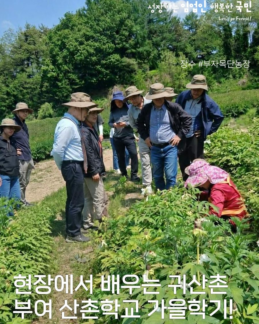 리햅 다리찢기 비법 1