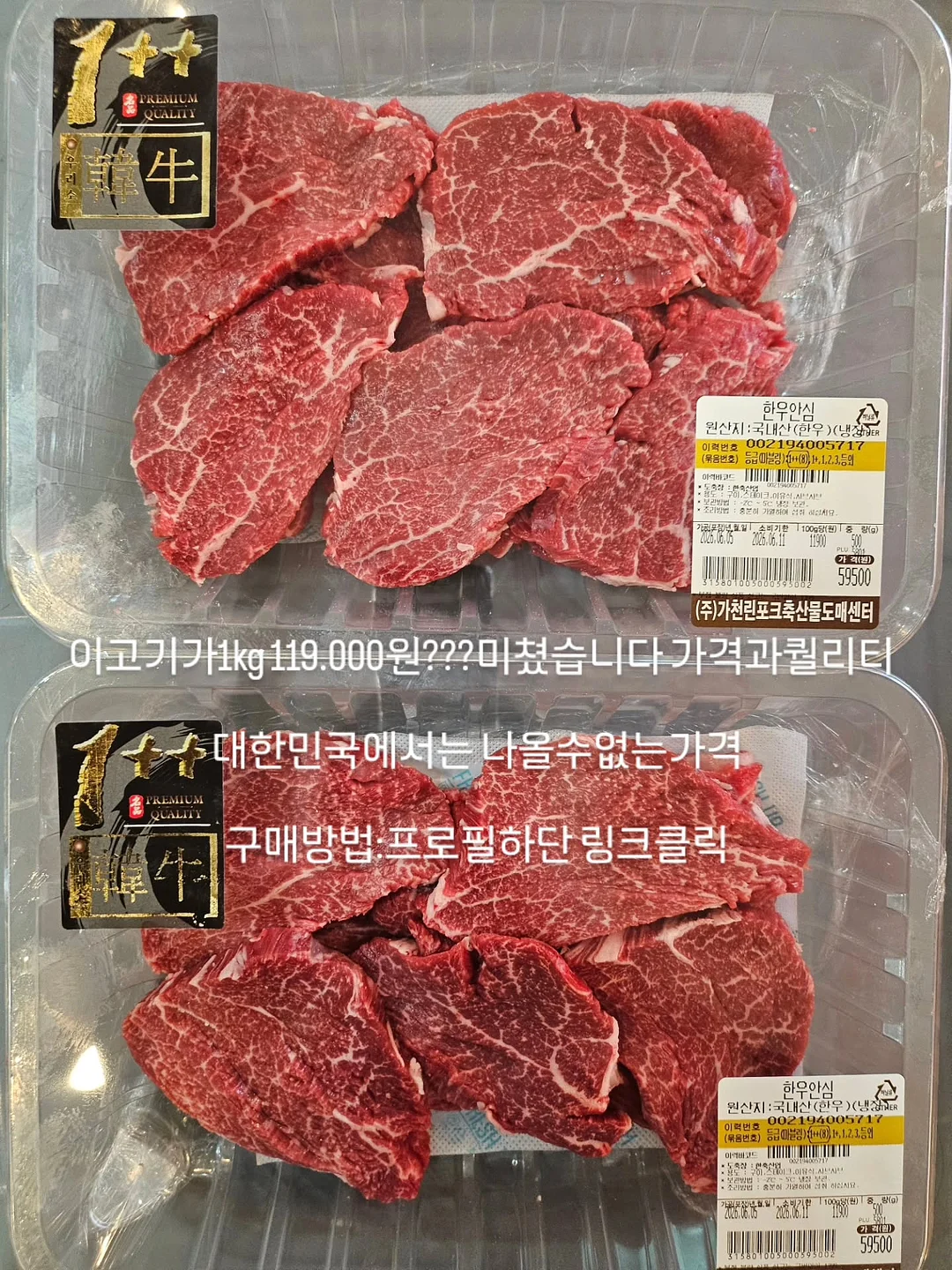 썸 메쉬 set 1