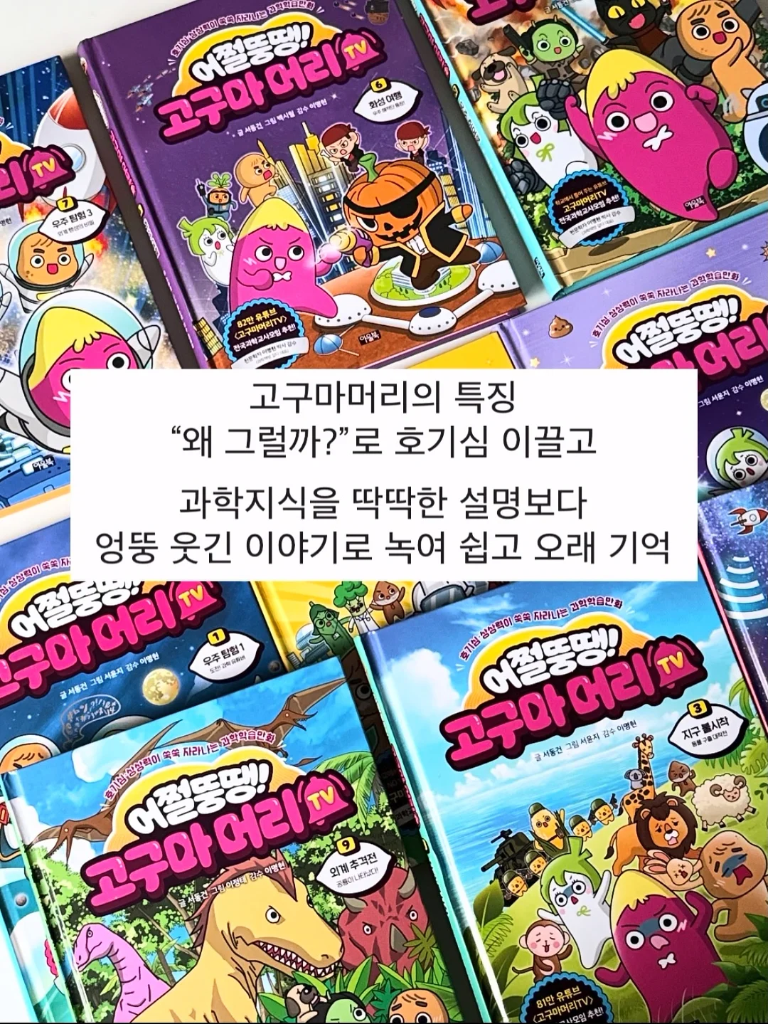 리보니백 1