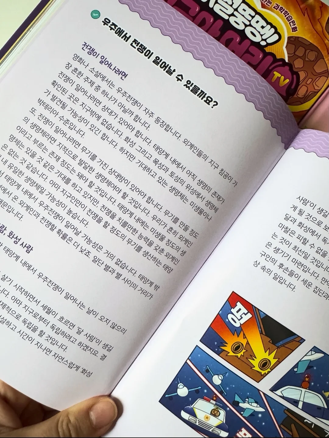 리보니백 13
