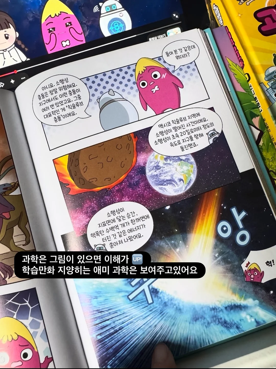 리보니백 6