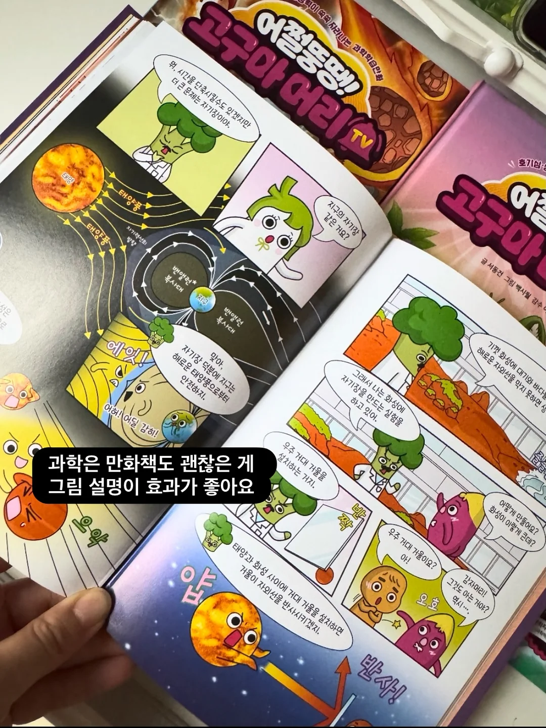 리보니백 8