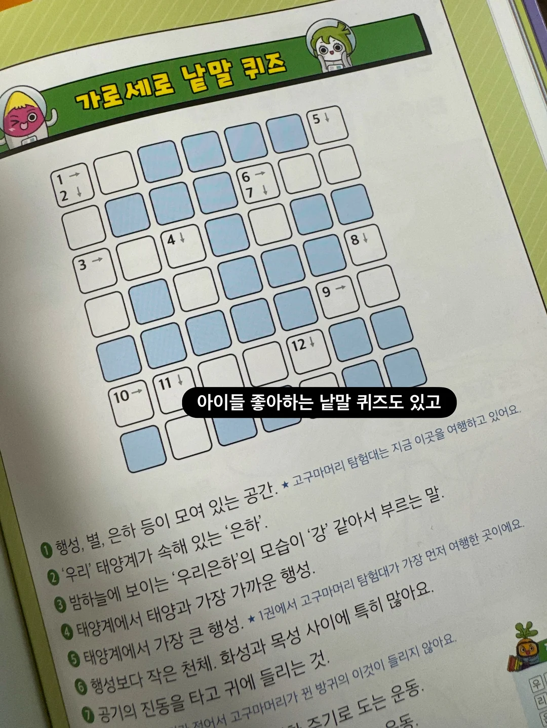 리보니백 9