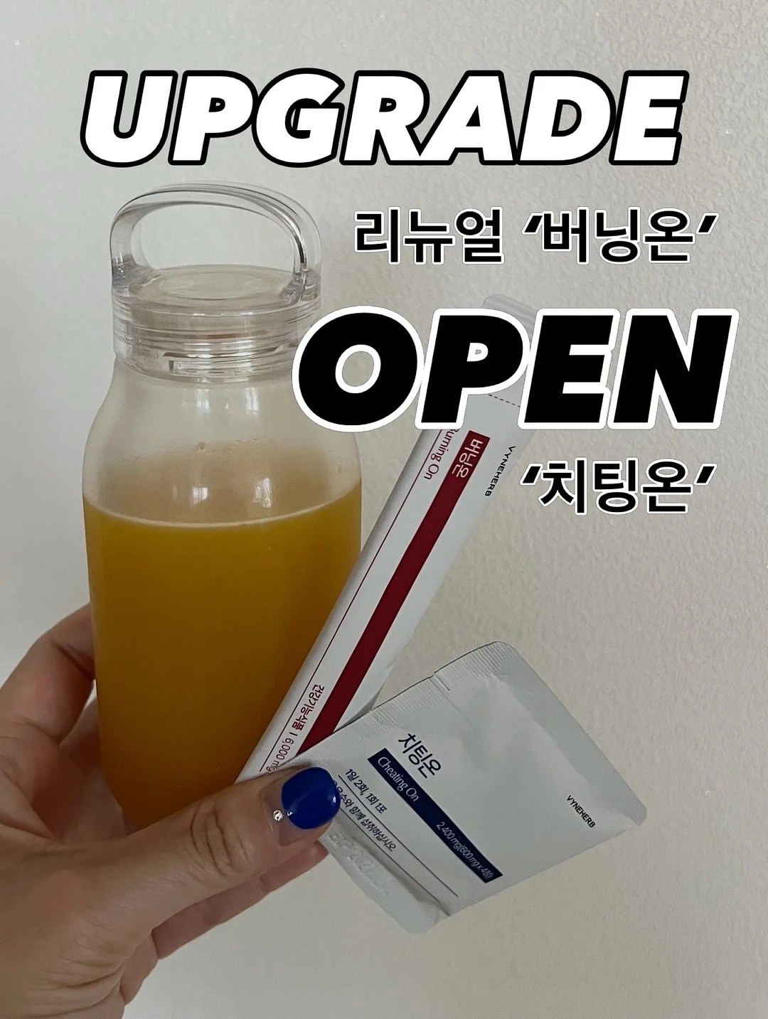 강아지 인식표 1