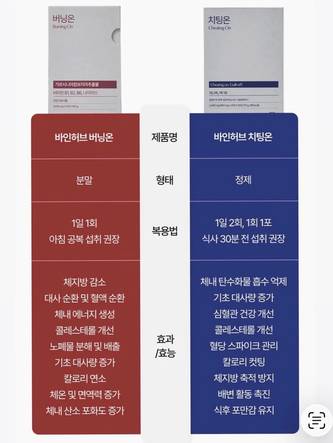 강아지 인식표 3