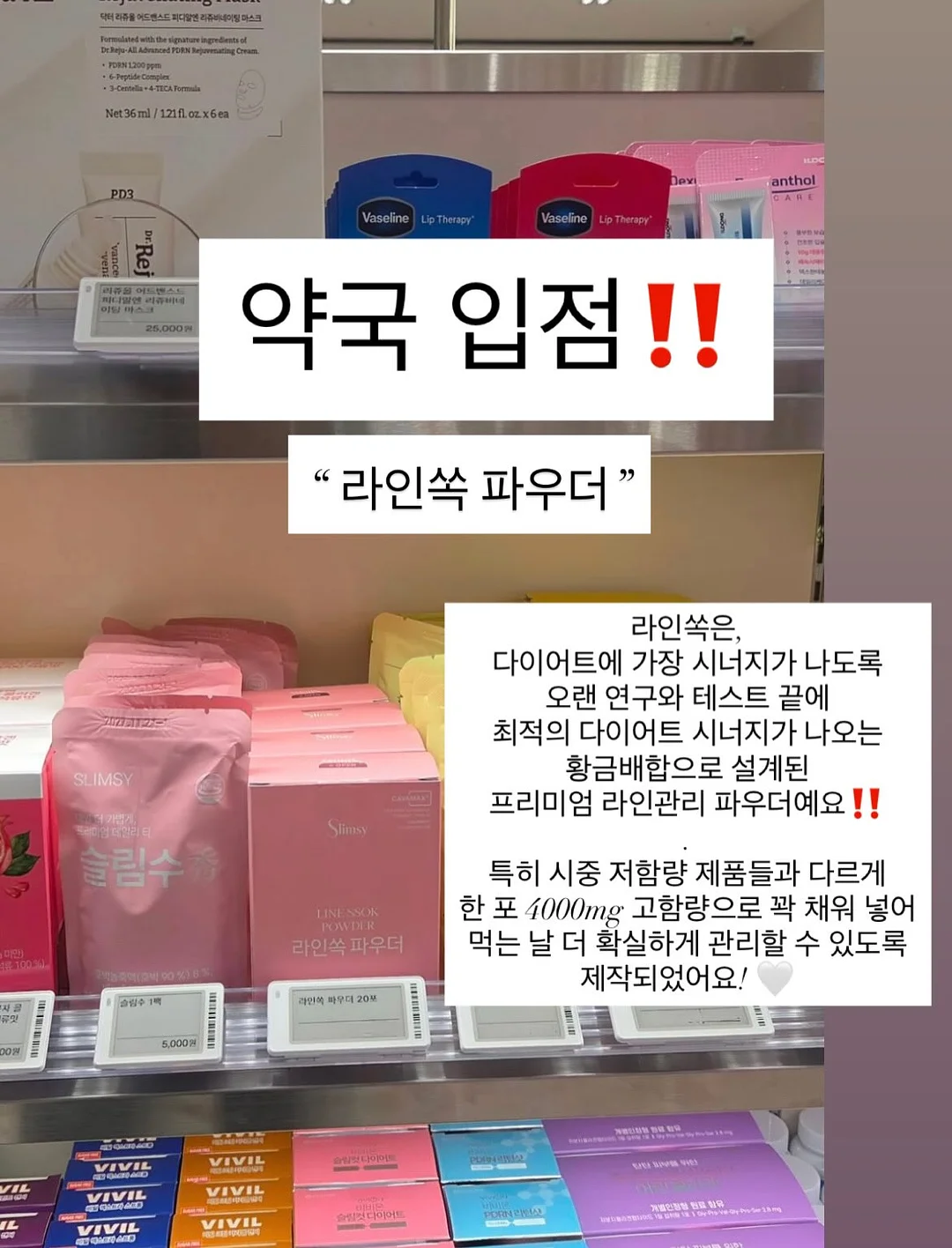 테네라 발레리나 숄더백 에코백 6