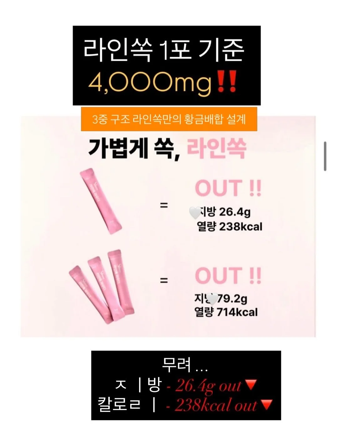 테네라 발레리나 숄더백 에코백 9