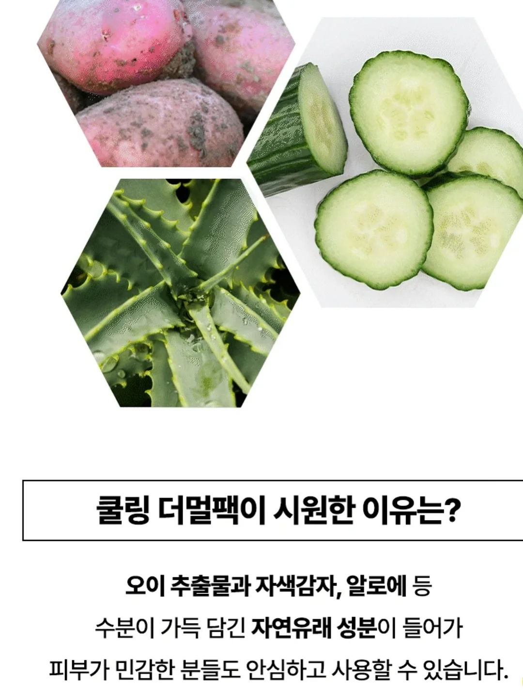 피넛슈트 11
