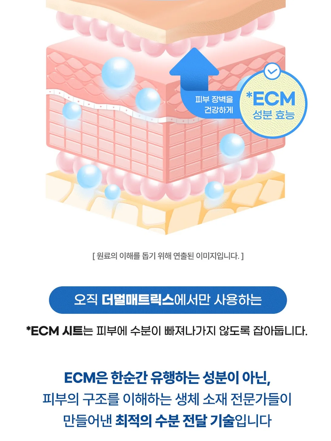 피넛슈트 7