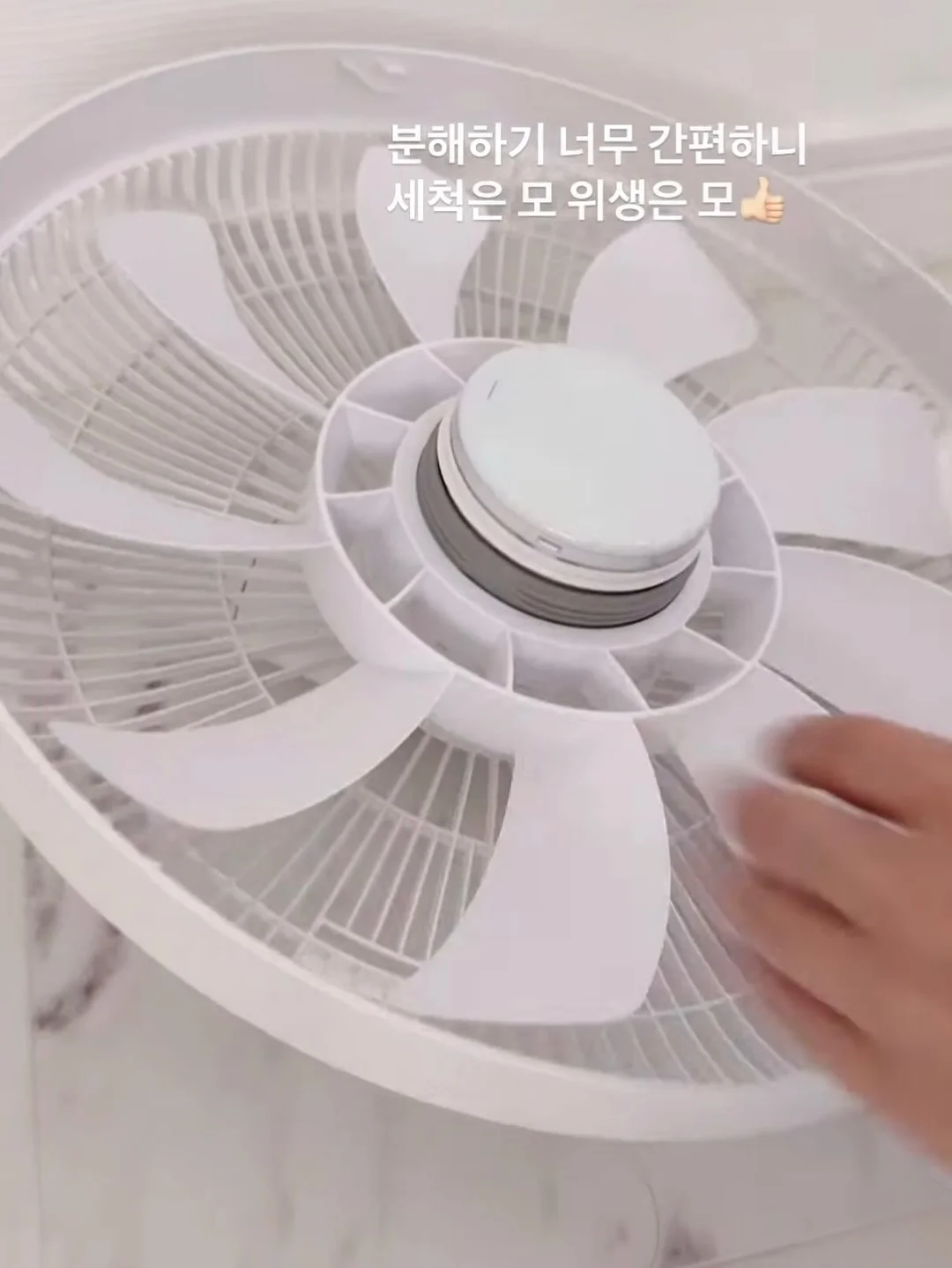 크루시아 11