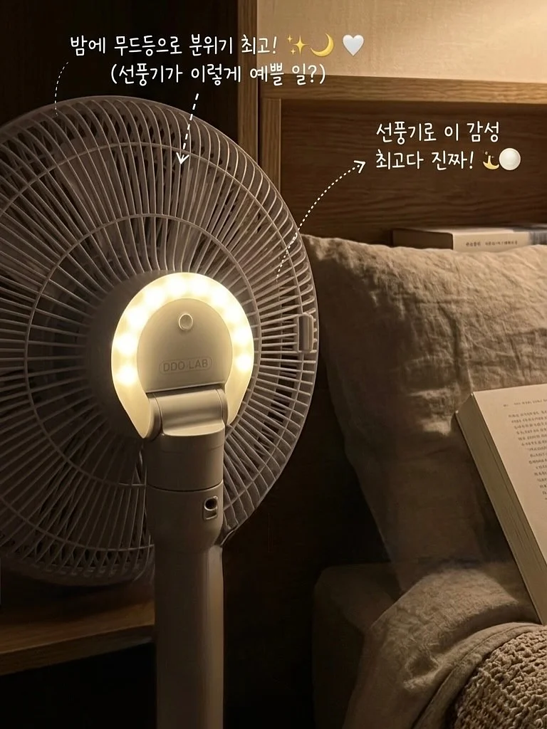 크루시아 8