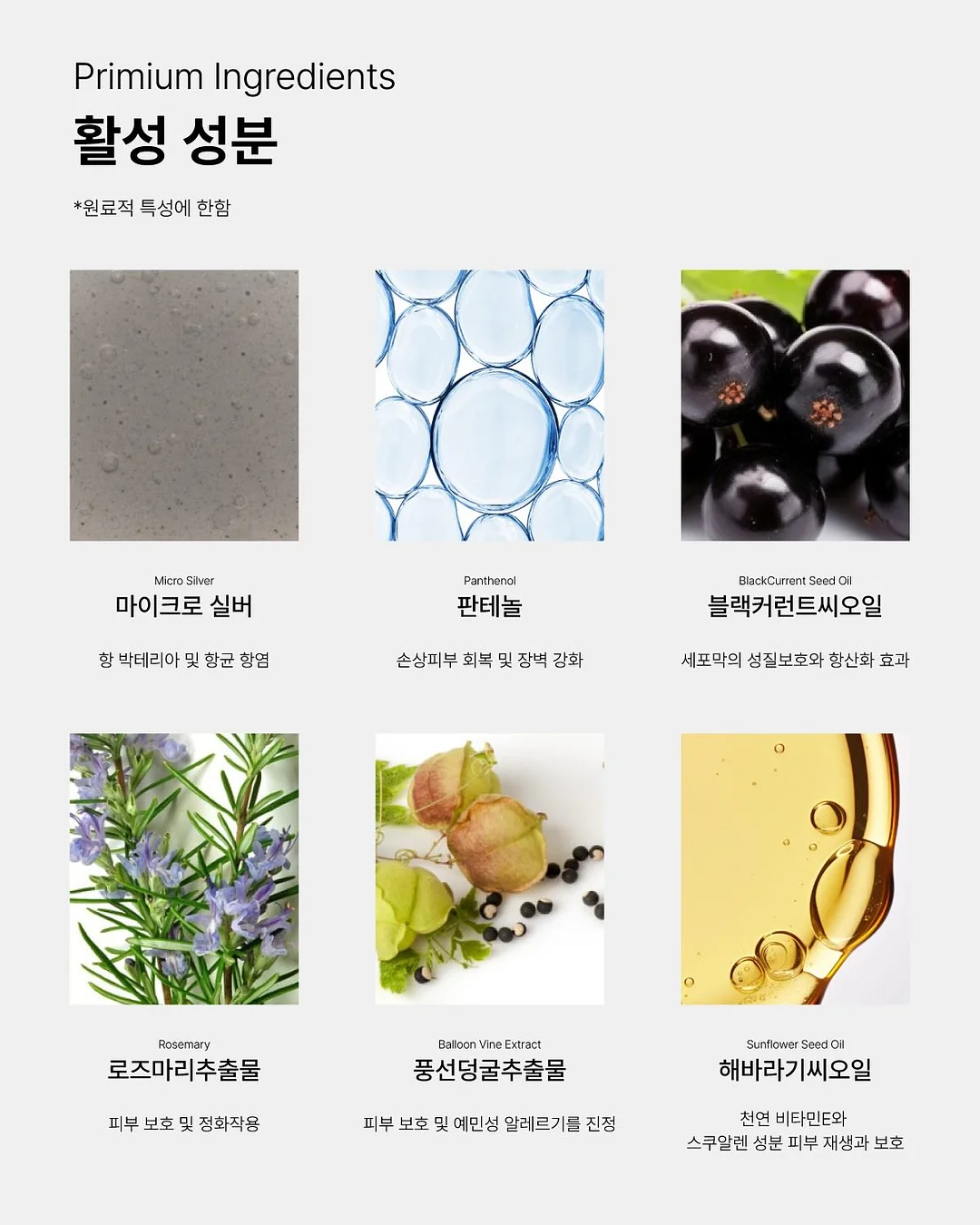 칸투치스튜디오 여름 신상 8