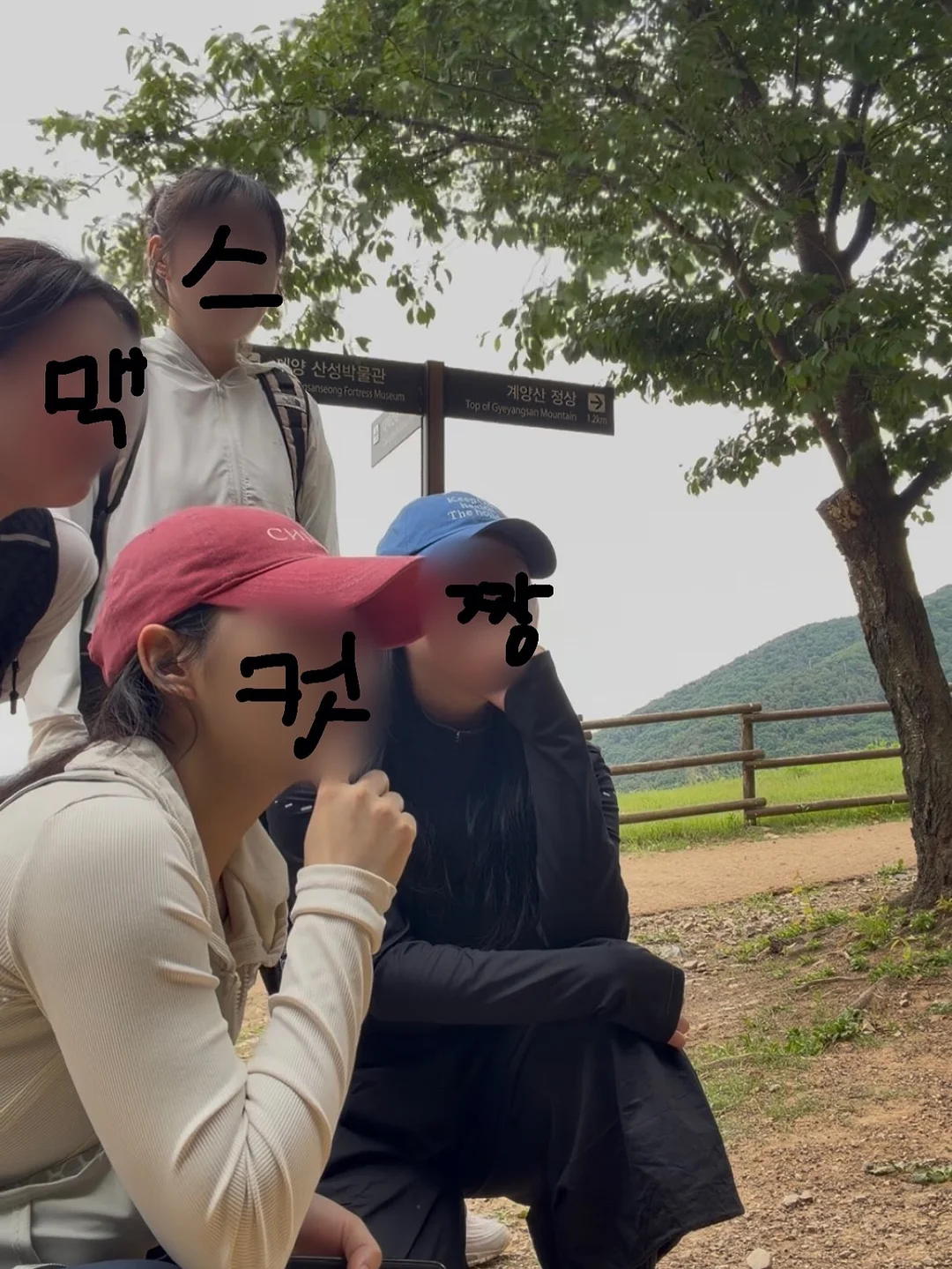 피브레노 모듬집 2