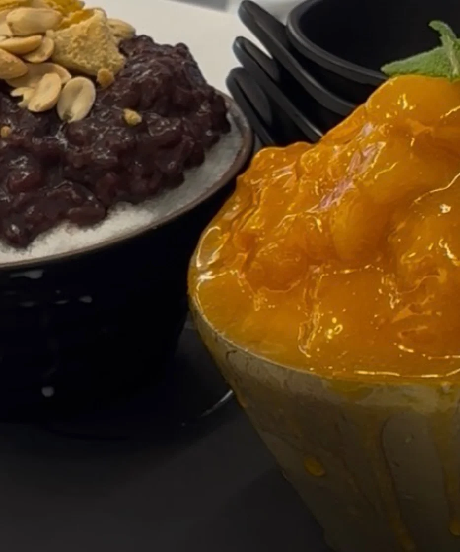 피브레노 모듬집 6