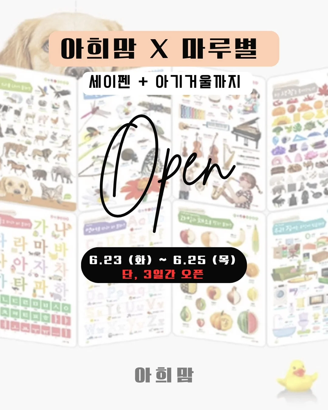 레이스 팔토시 1