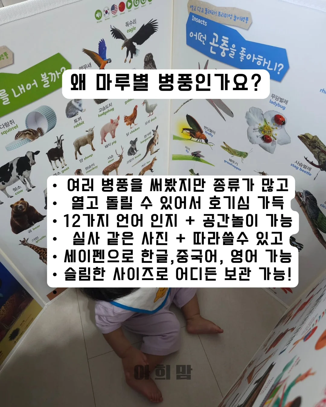 레이스 팔토시 5
