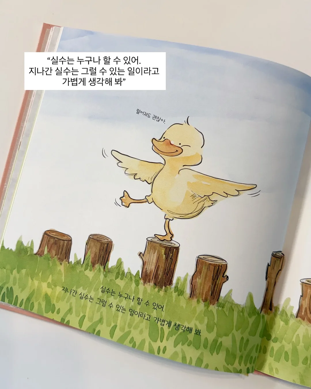 96시간 숙성 병아리콩 11