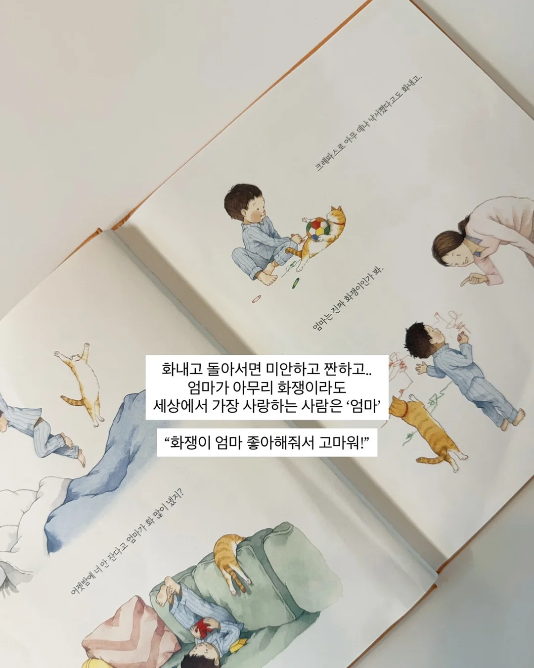 96시간 숙성 병아리콩 4