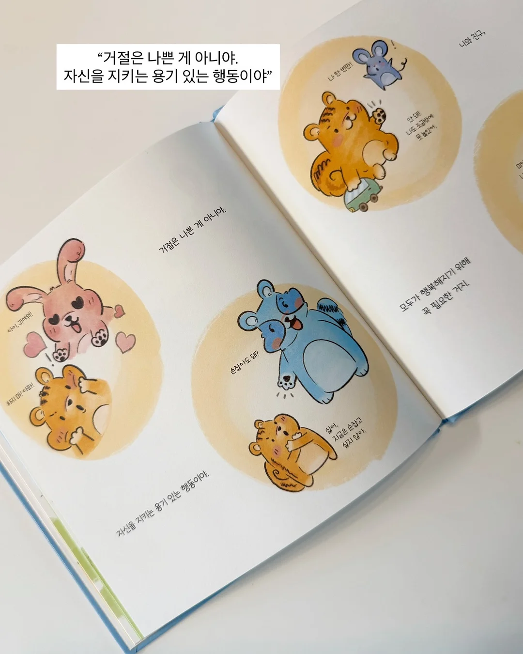 96시간 숙성 병아리콩 10