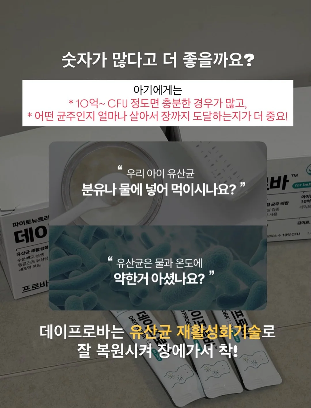 카공지도 4