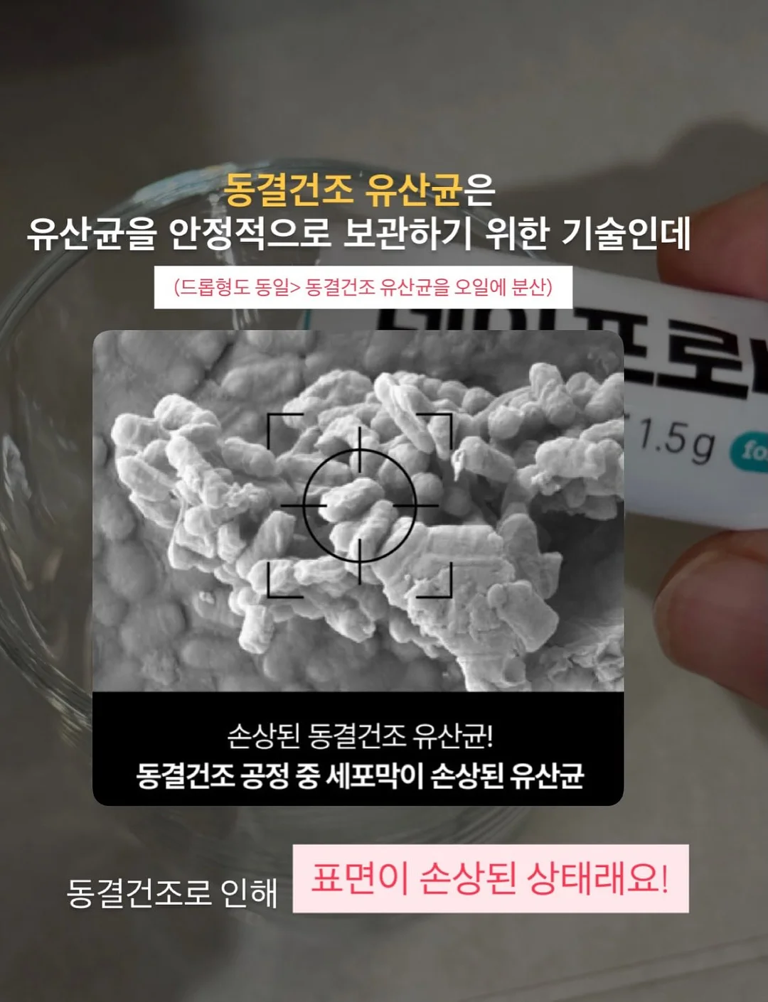 카공지도 5