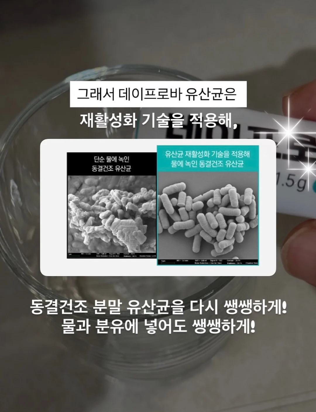 카공지도 6