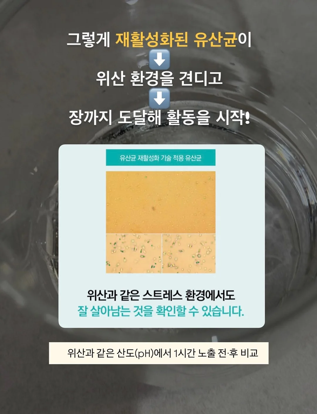카공지도 7