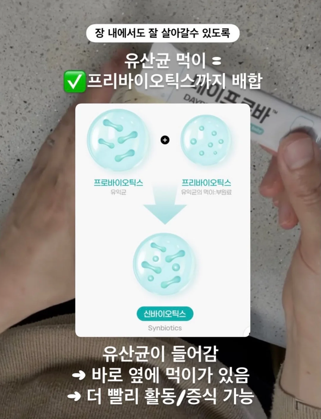 카공지도 8