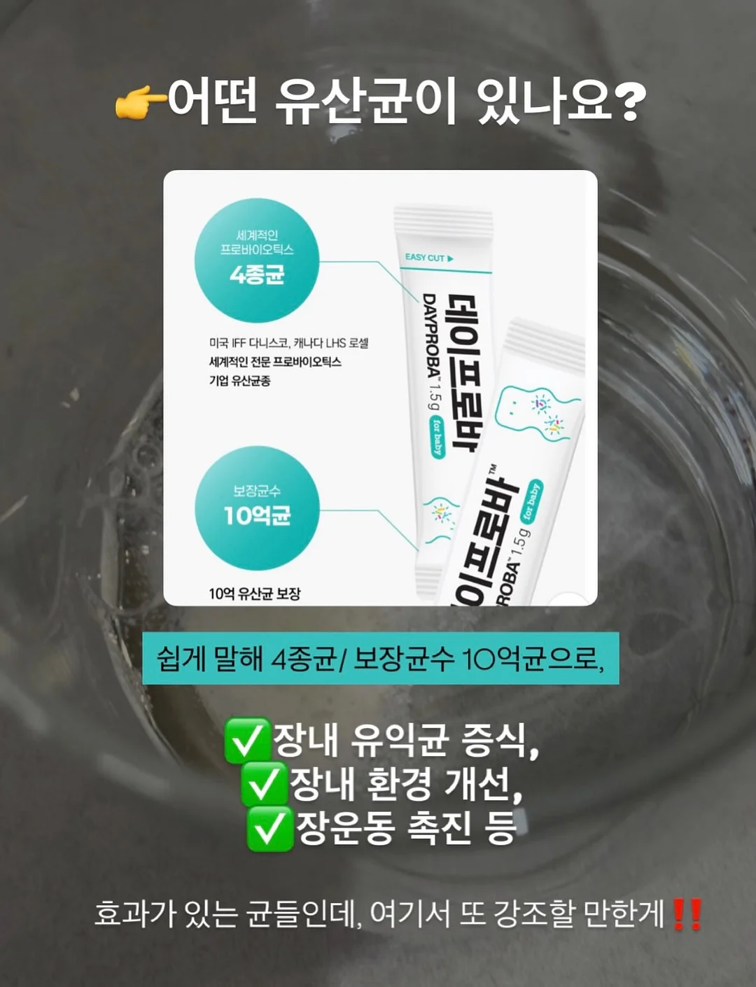 카공지도 9