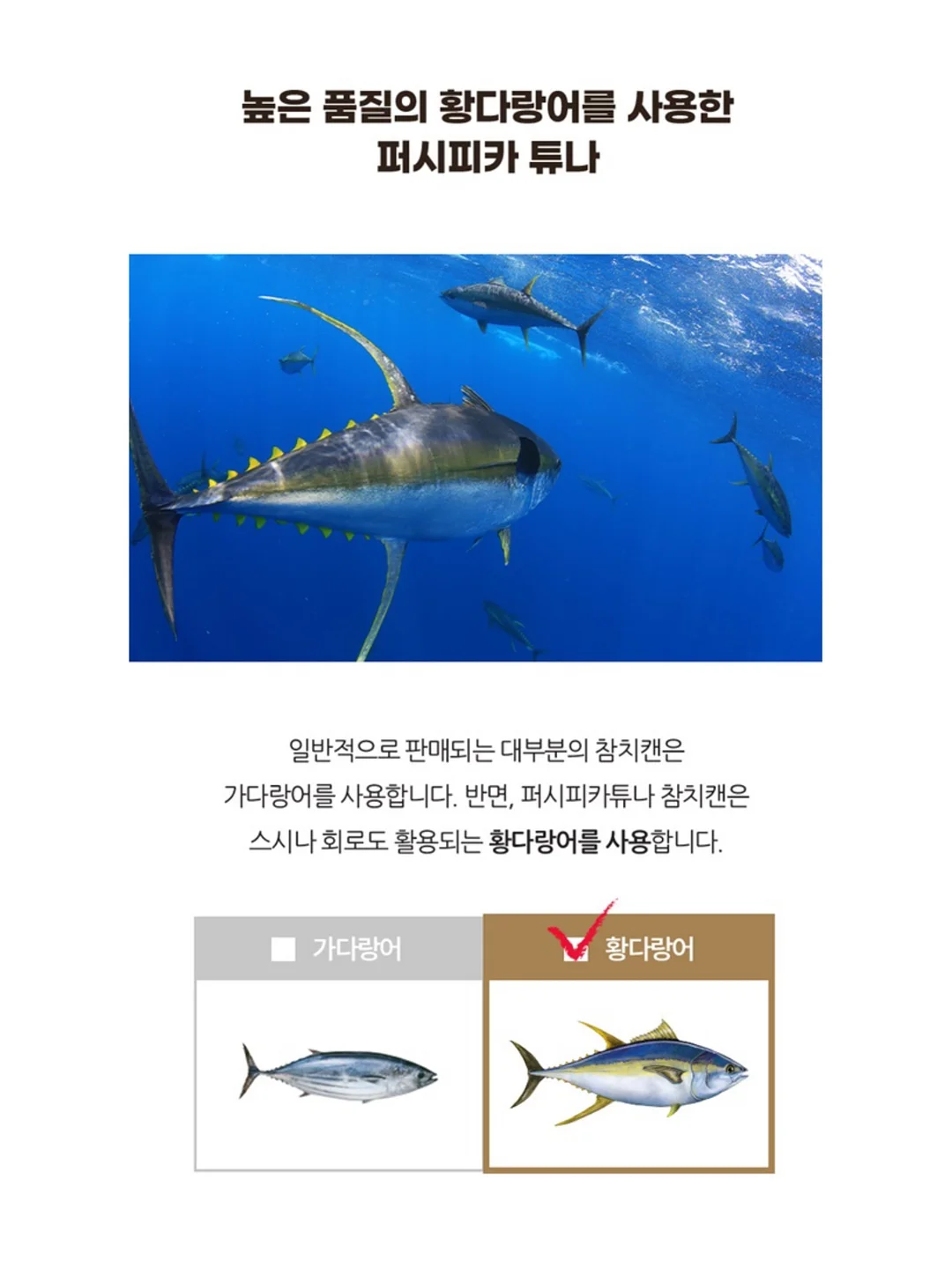 피스타치오 에코백 10