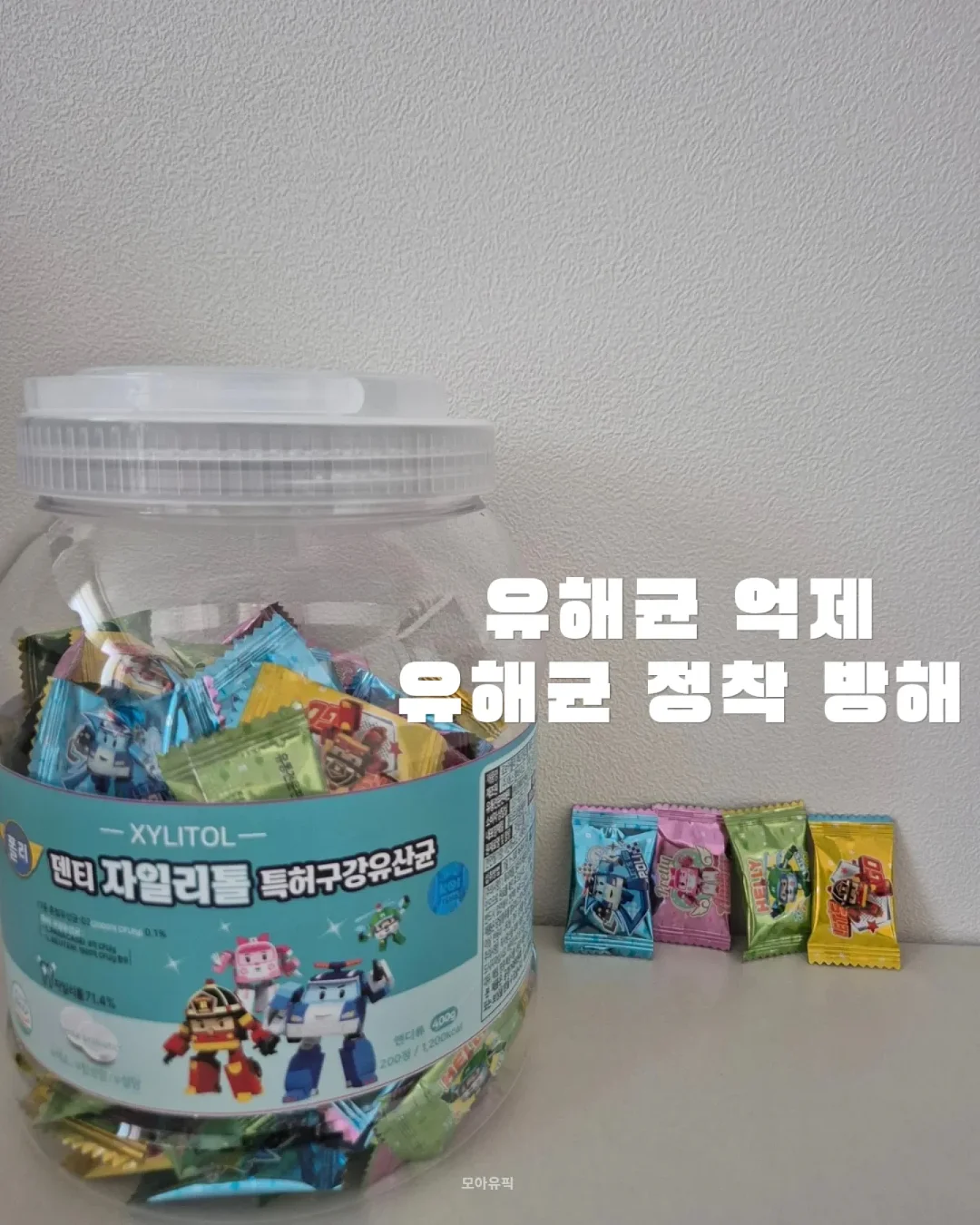 모란 튤립 프릴 상하의 5