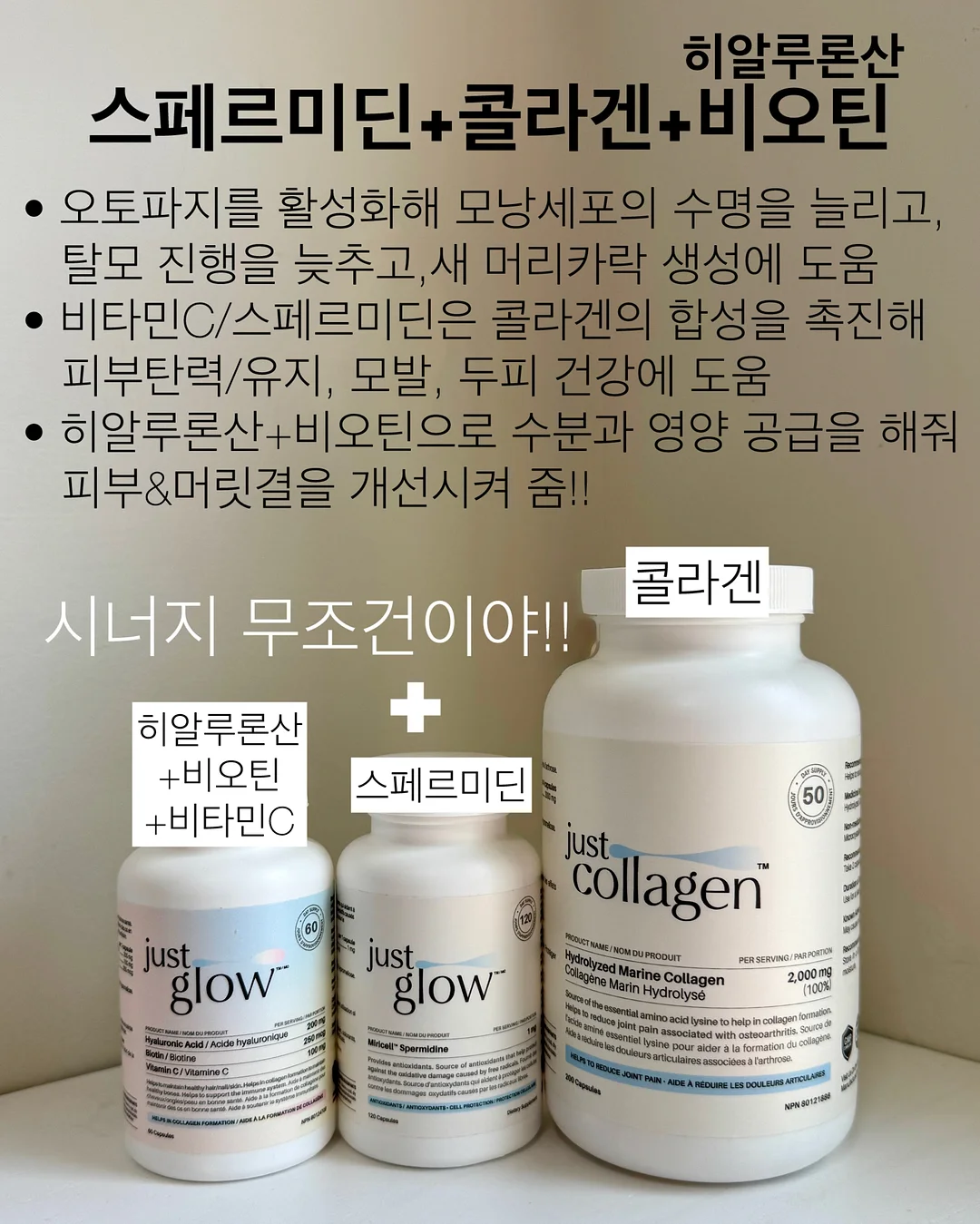 토핑블루머세트 11
