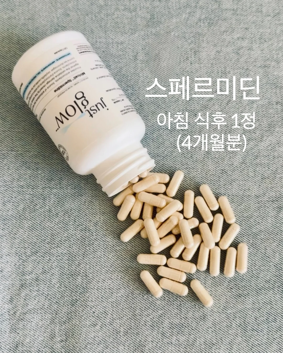 토핑블루머세트 3