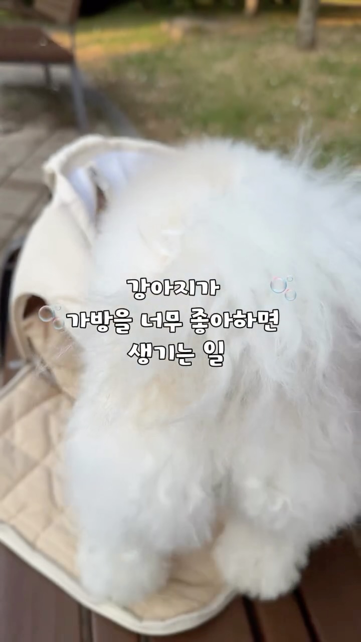 키티 릴 마스코트
