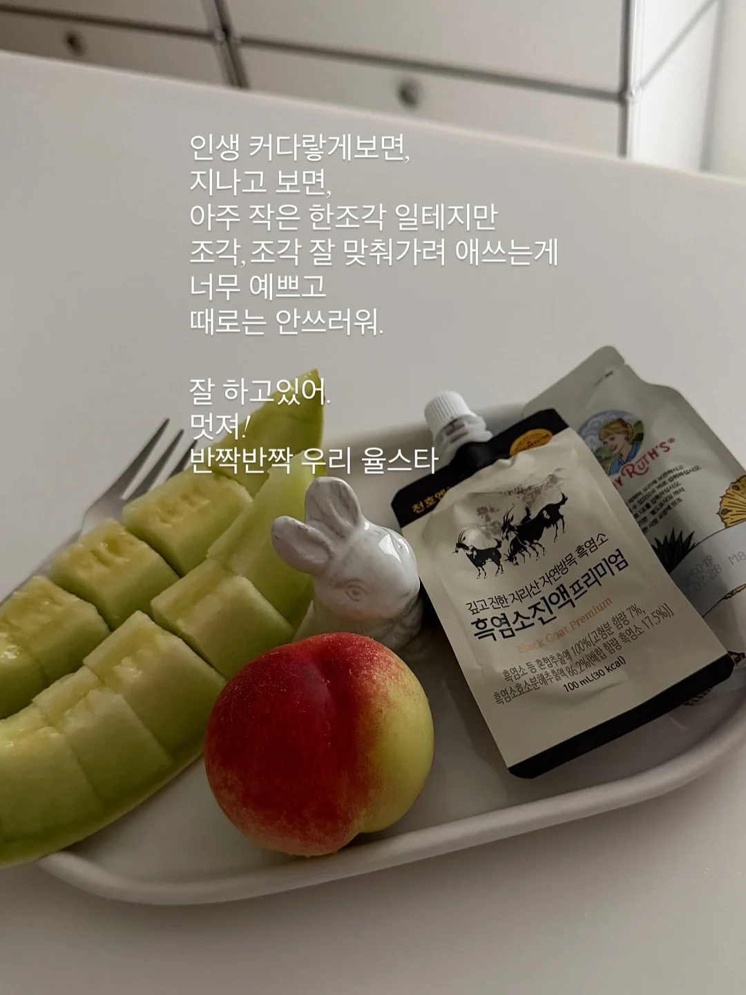 자동 캐스팅 낚싯대 2