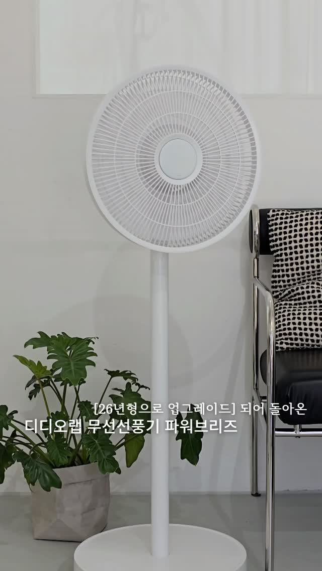 젤리백