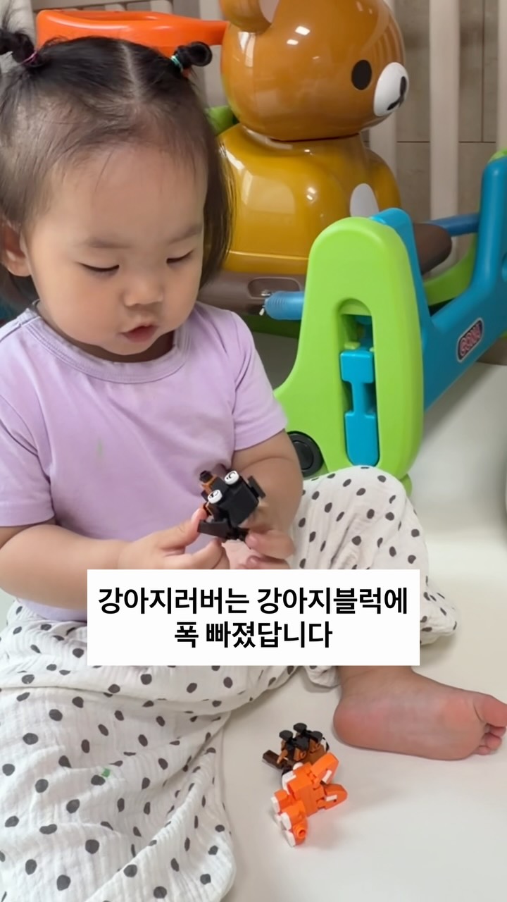 메종 키츠네 와일드덕 협업 컬렉션