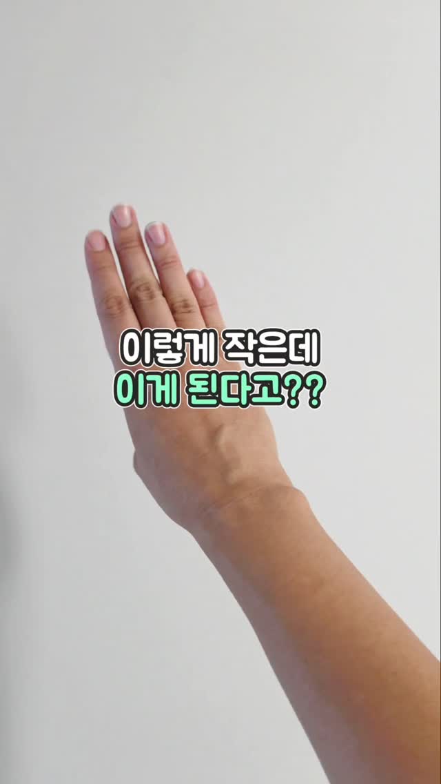 초코효소