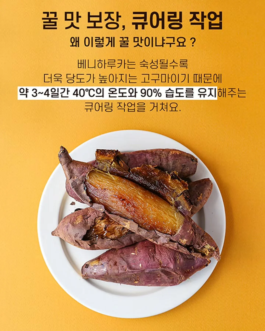 만능 정리템 8