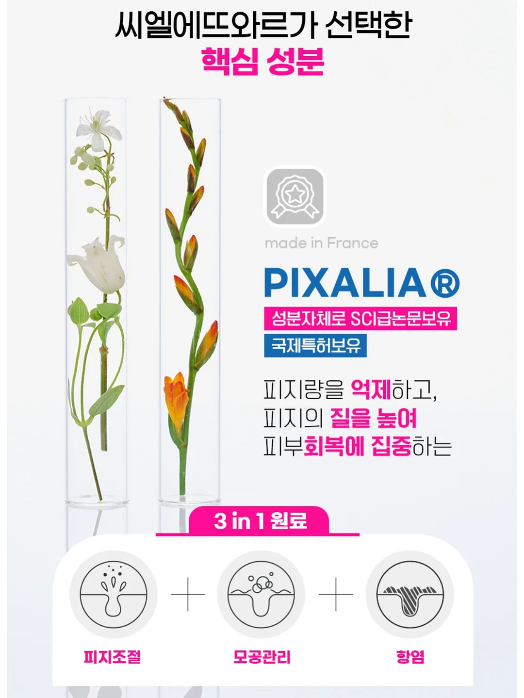 핑크 장미 꽃다발 5