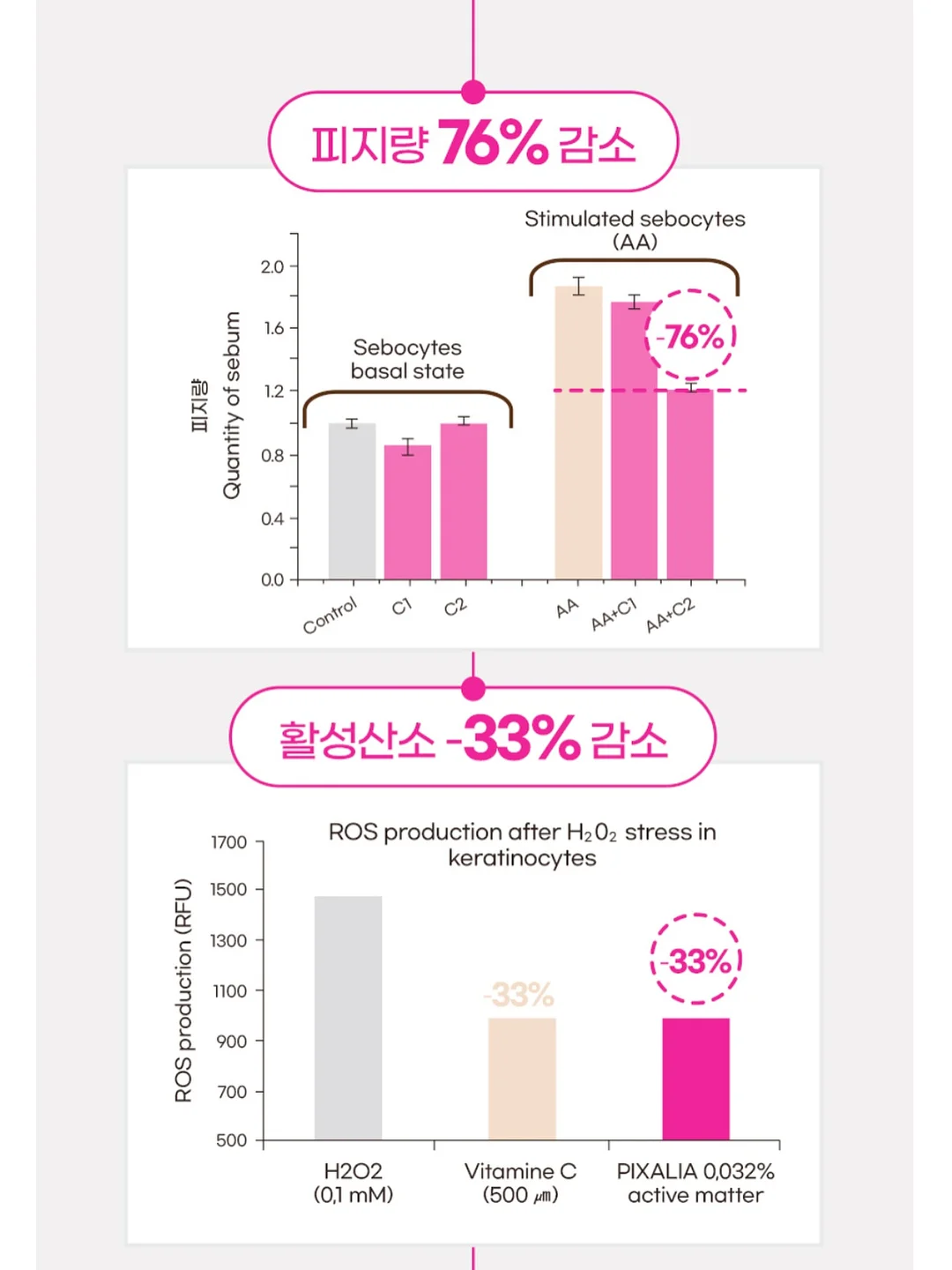 핑크 장미 꽃다발 6