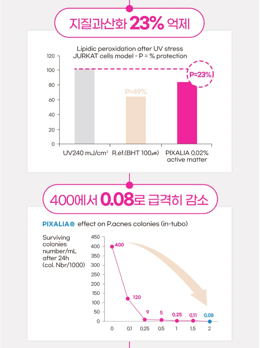 핑크 장미 꽃다발 7