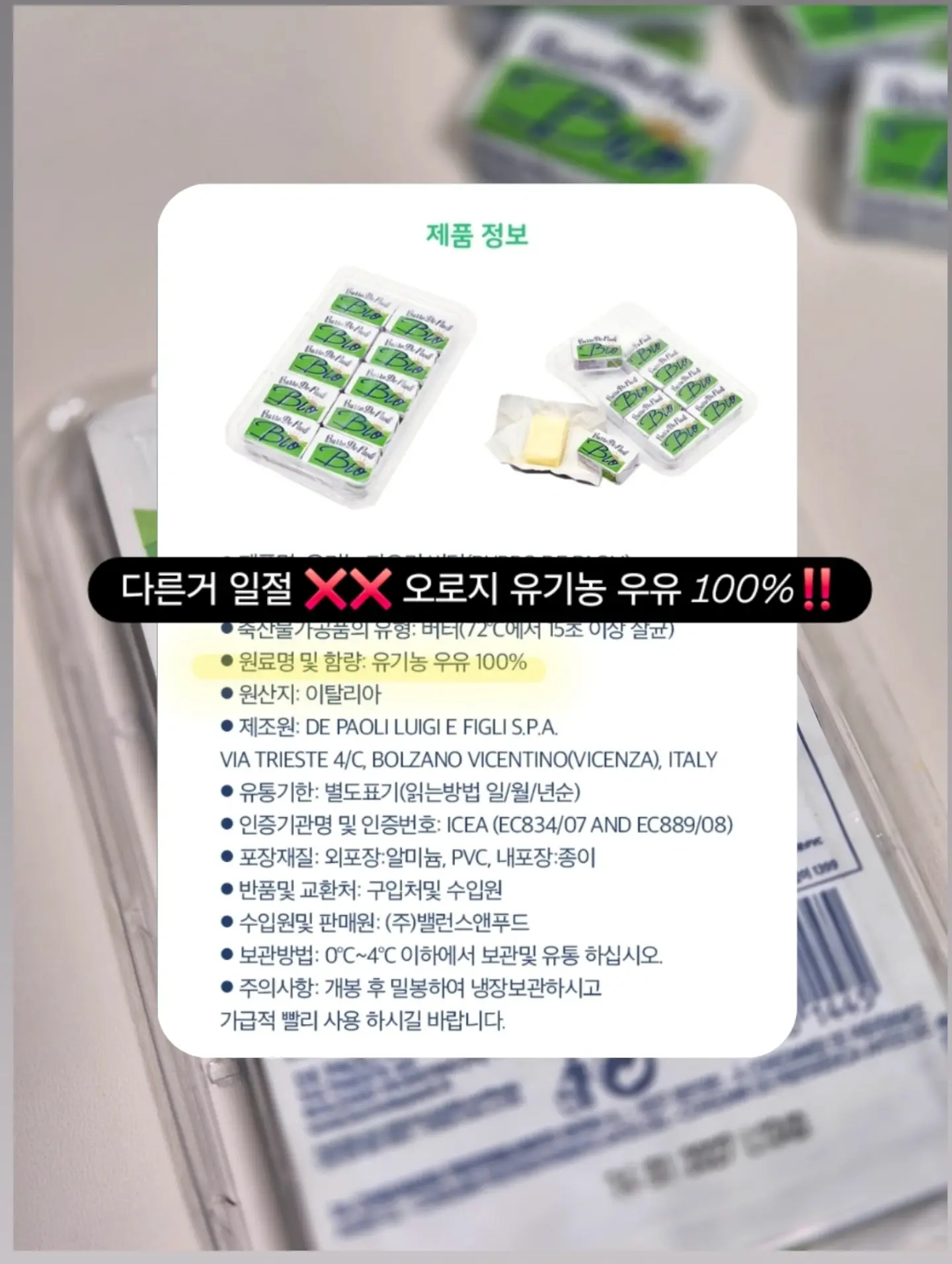 시튼 동물기 2 5
