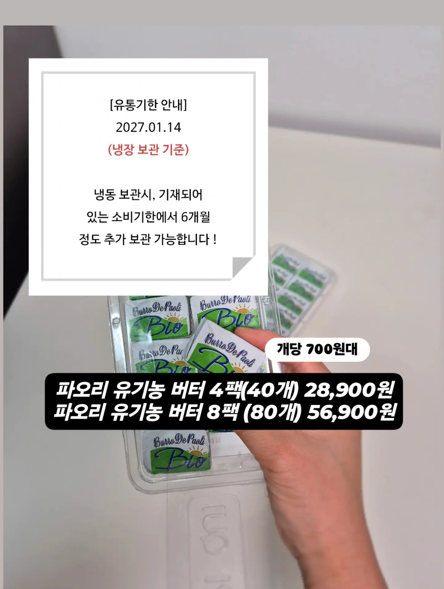시튼 동물기 2 8