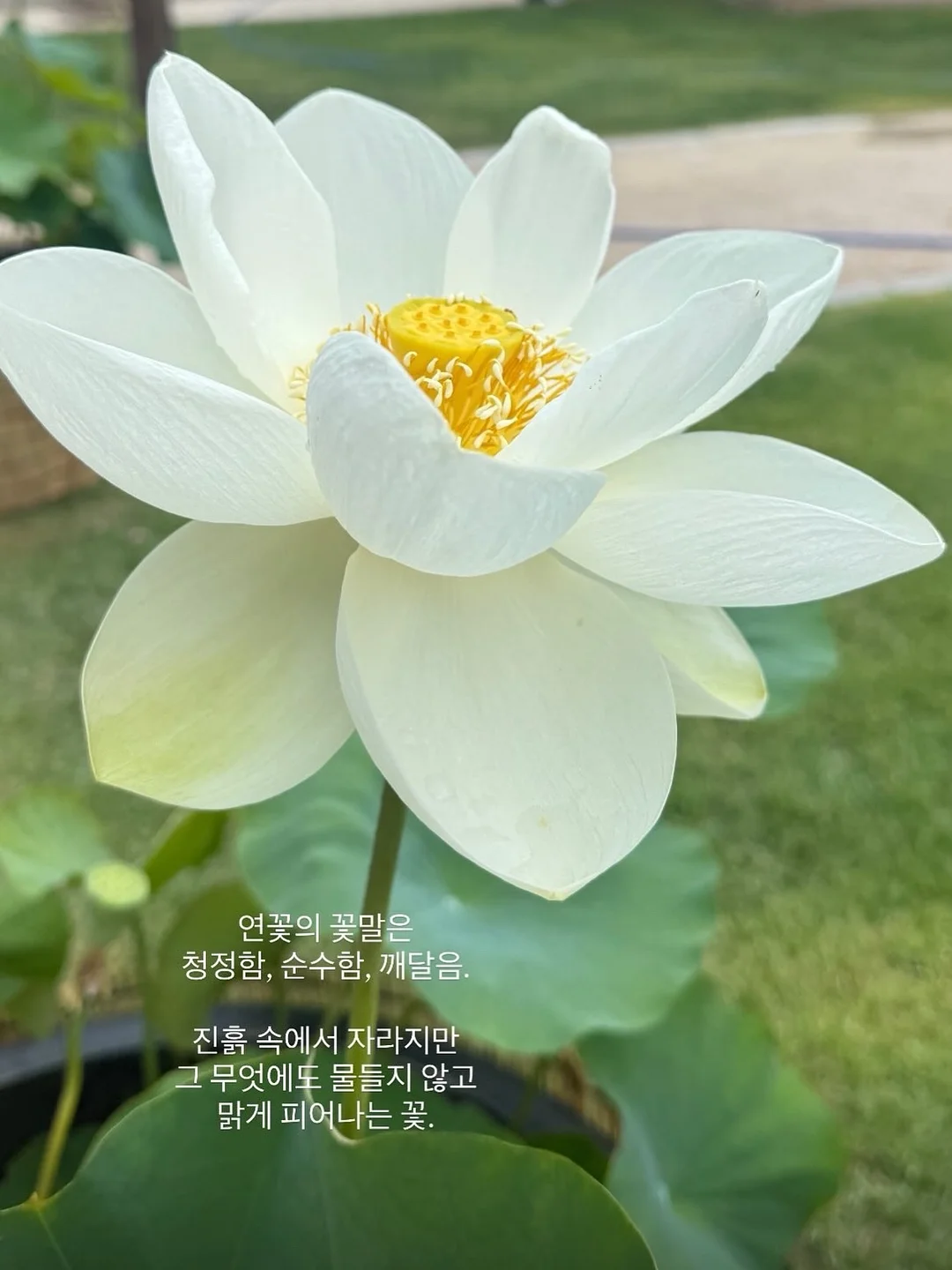 개인정보 프로파일링 AI 9