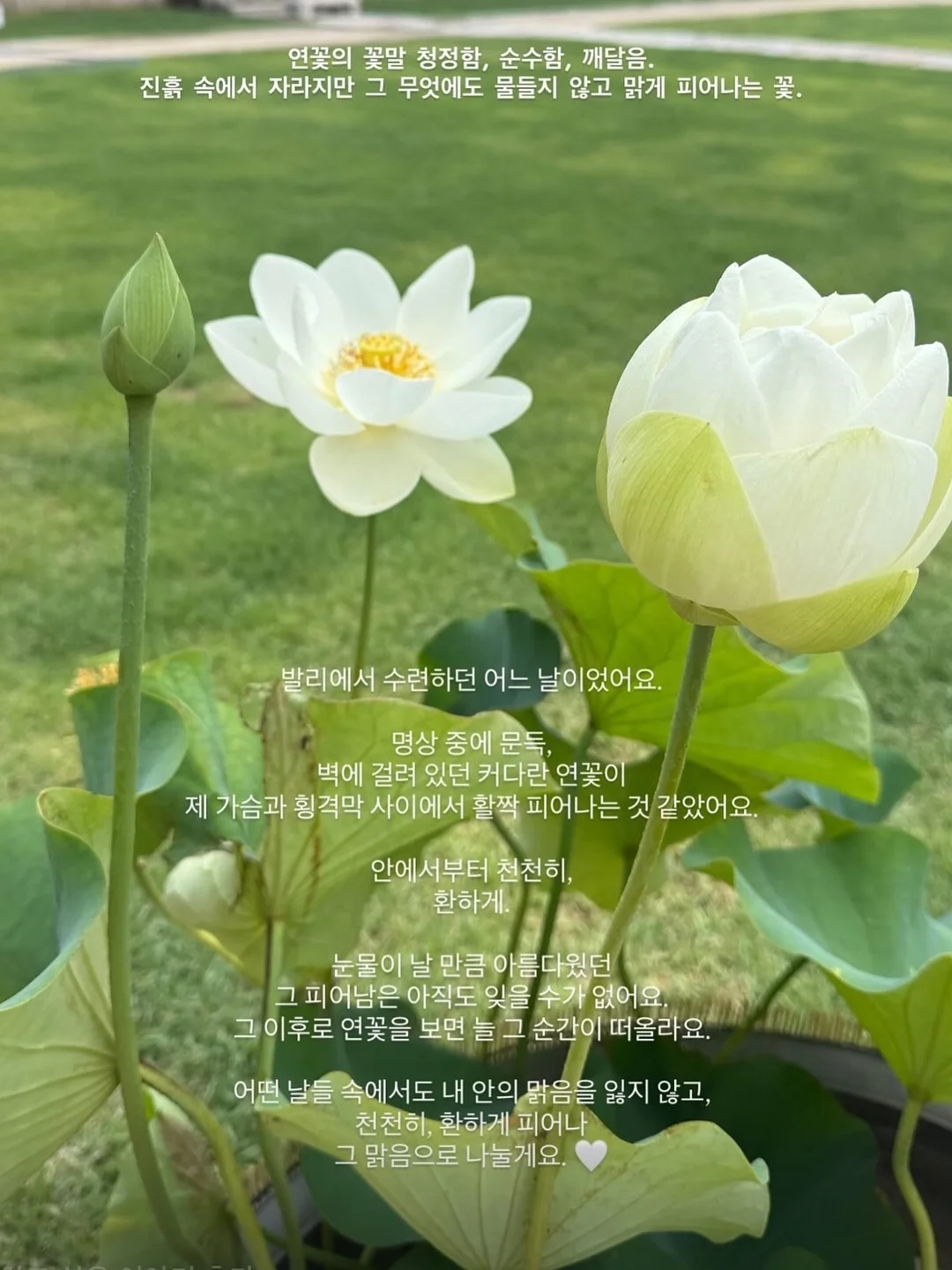개인정보 프로파일링 AI 10