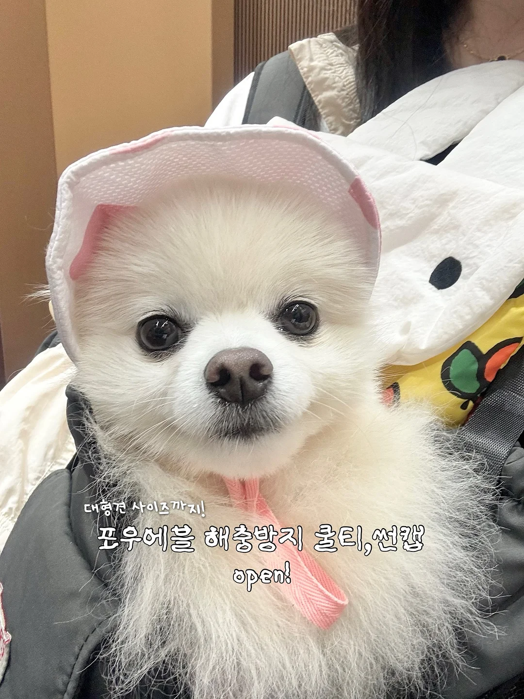 Fairy Wand Tap 카드 케이스 1