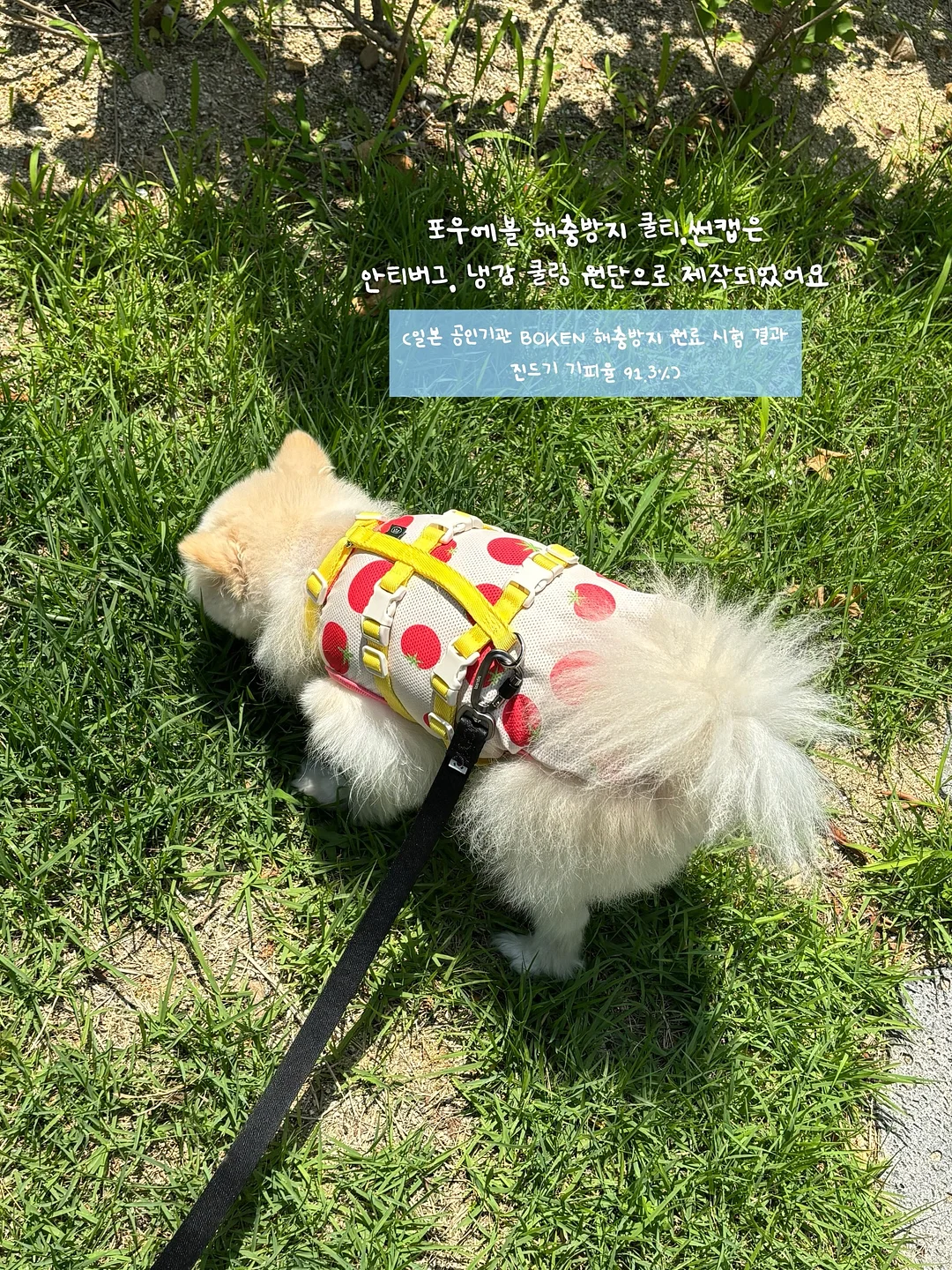 Fairy Wand Tap 카드 케이스 3
