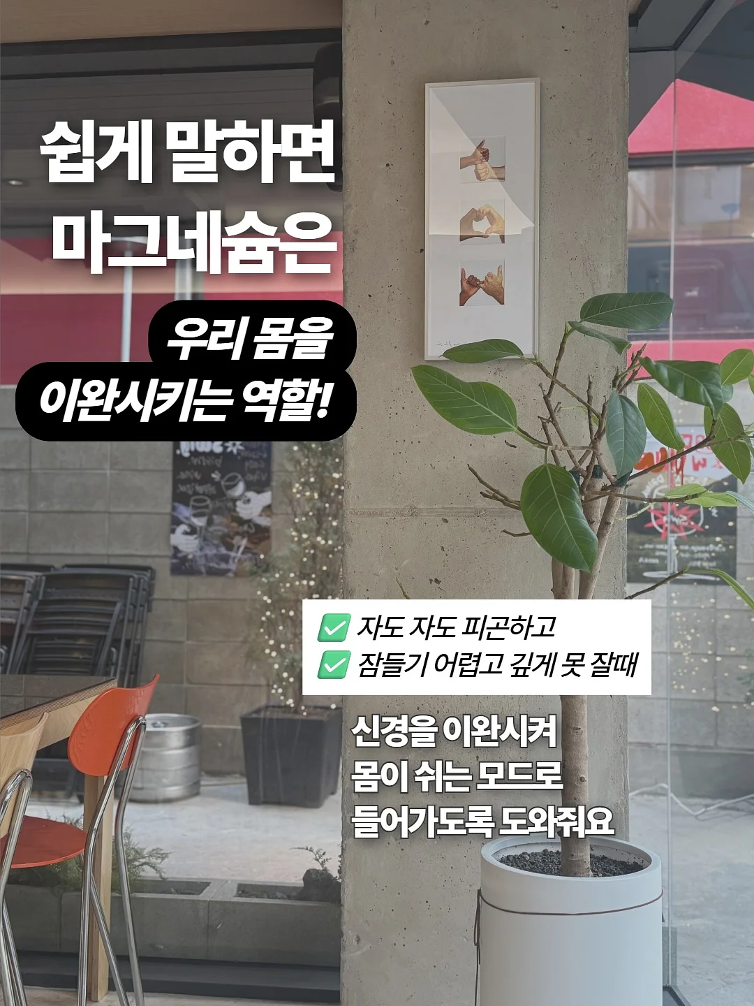 원터치 텐트 2